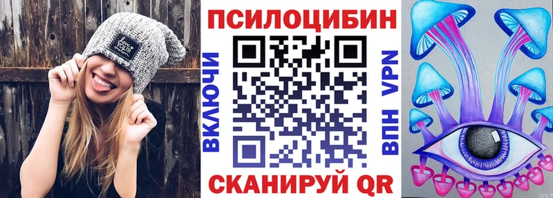 Галлюциногенные грибы Psilocybine cubensis Черногорск